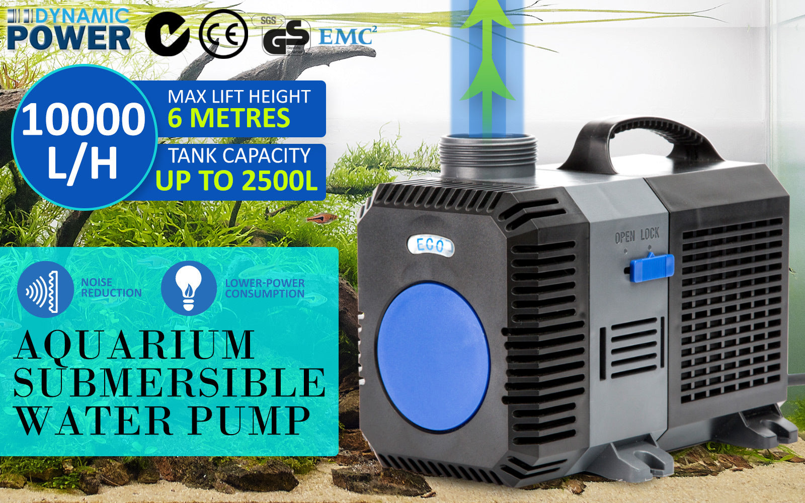 High-Efficiency Pond Filter & Submersible Pump Set 10000L/H - Dynamic Power