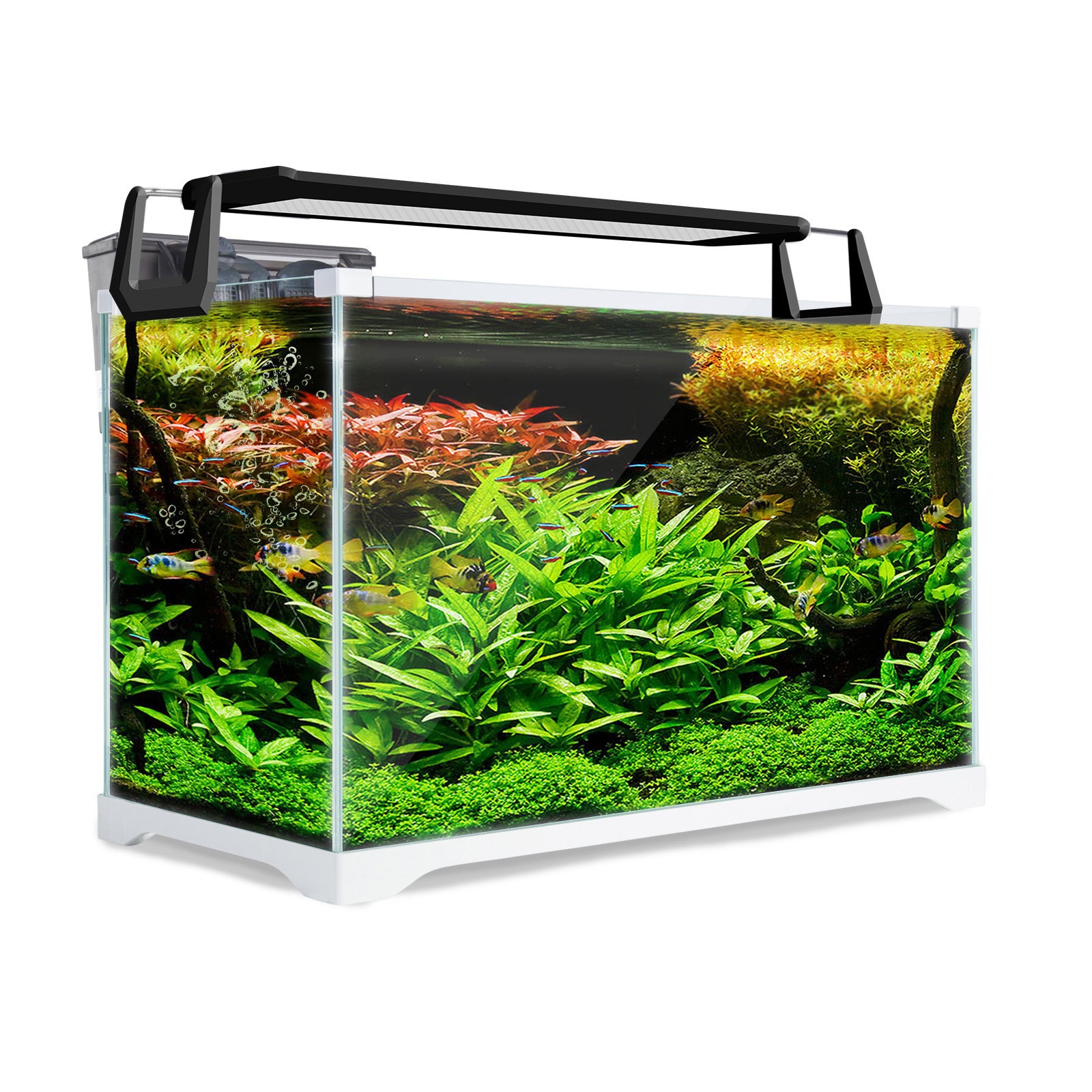 39L Starfire Glass Aquarium Set w/LED & Filter - Dynamic Power