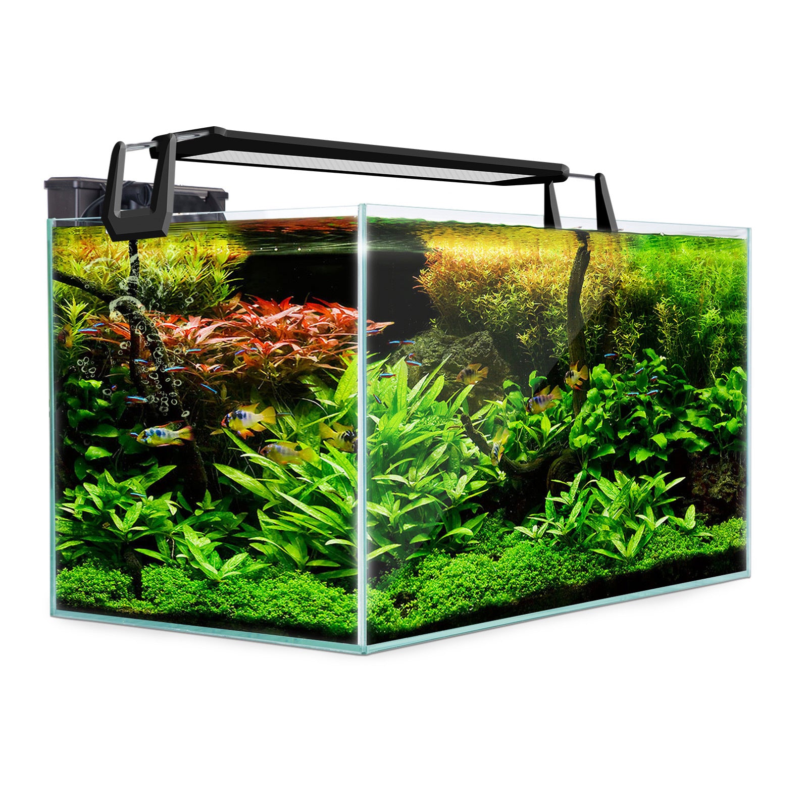 70L Starfire Glass Aquarium Set, LED Light, Filter - Dynamic Power