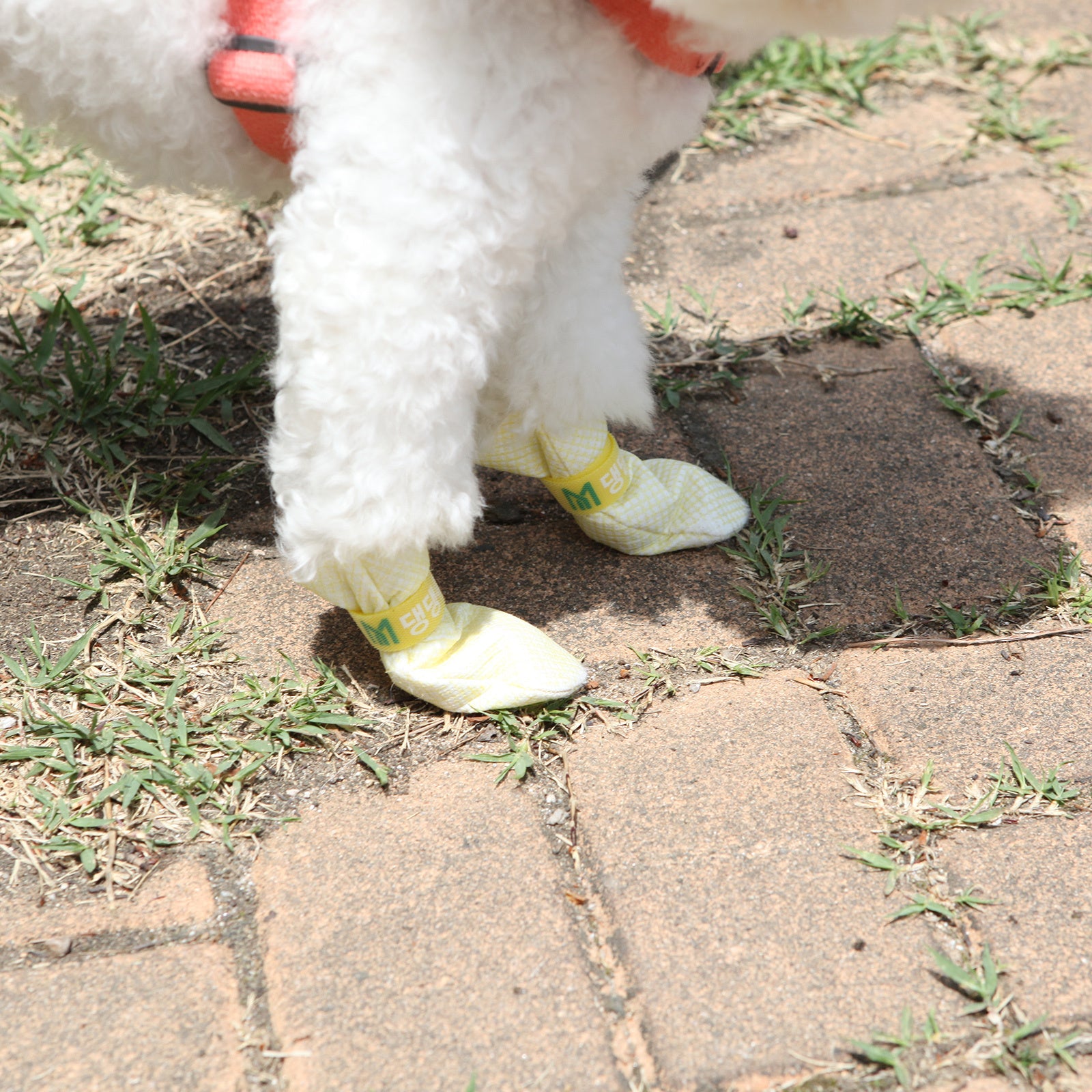 Waterproof Anti-Slip Dog Shoes 28pc Blue Non-Woven Fabric L