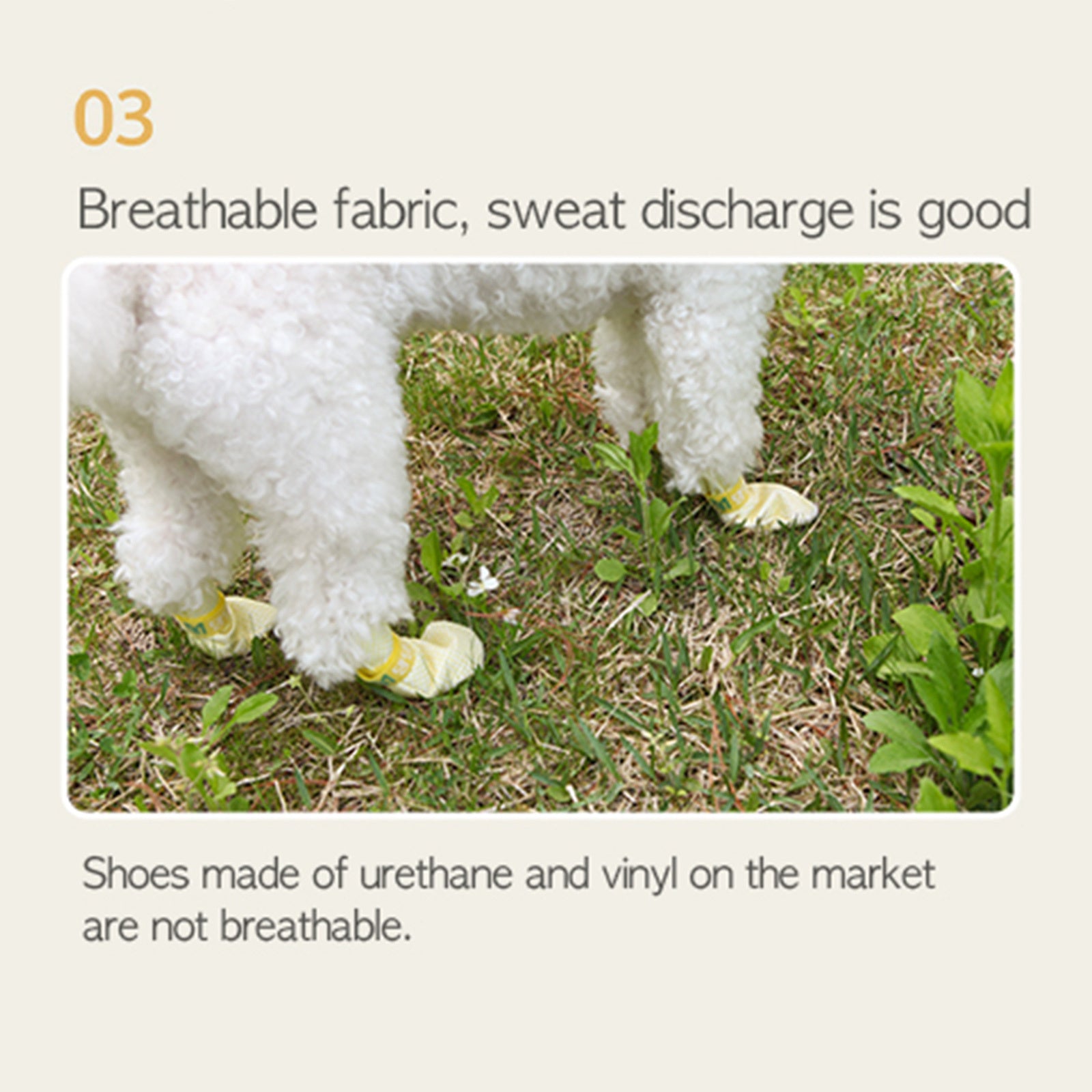 Waterproof Dog Shoes Set, Anti-Slip, Breathable, Disposable, M - Daeng Daeng