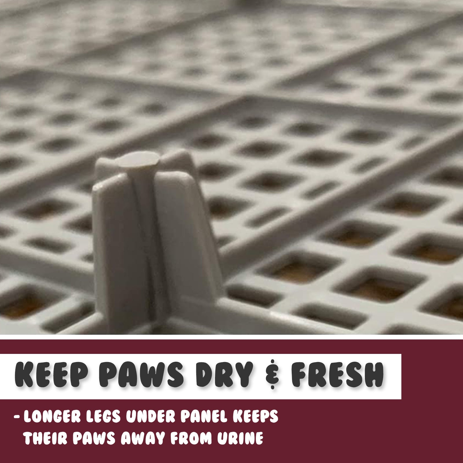 Leak-Proof Dog Pet Potty Tray, Raised Walls, Mesh - PS Korea