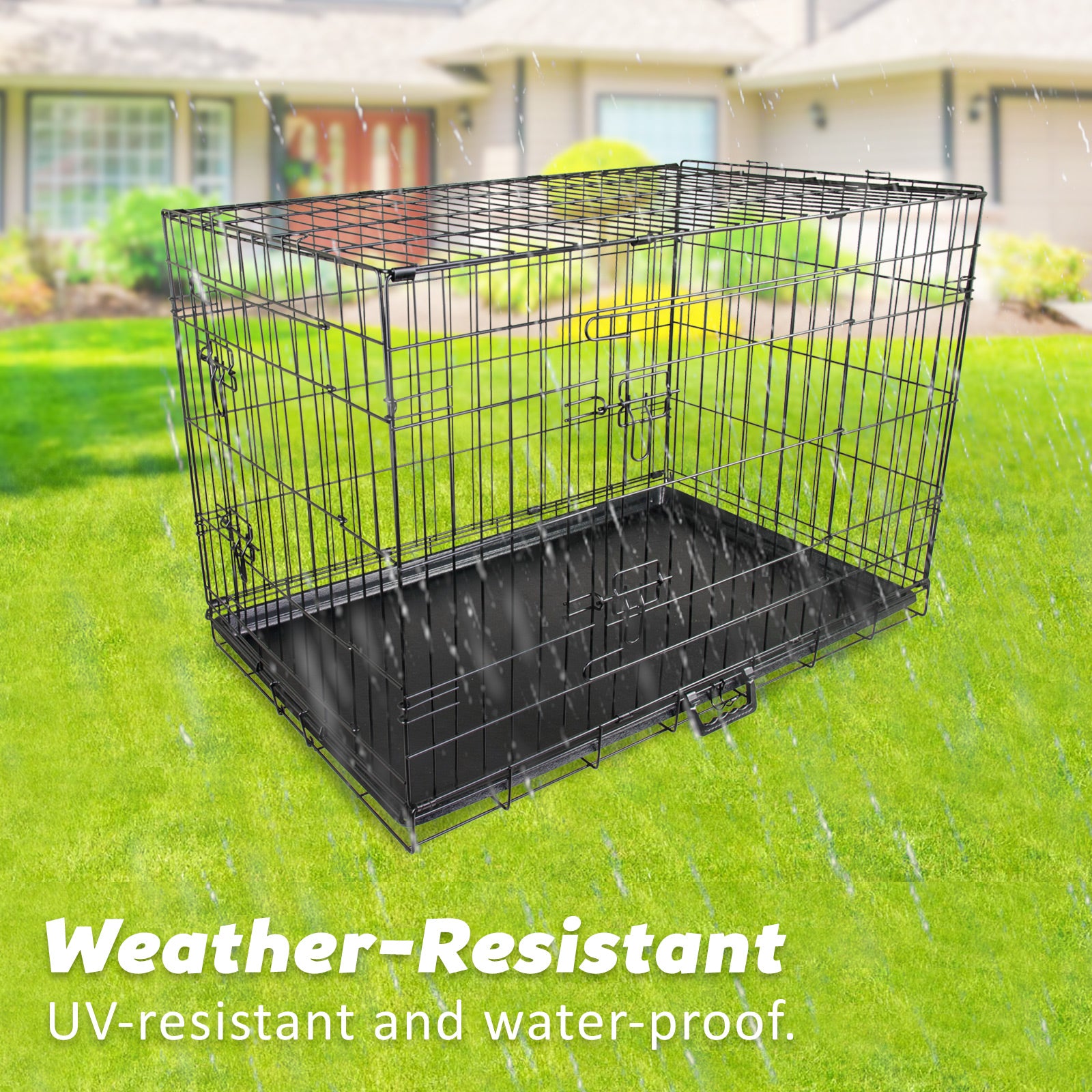 Durable Foldable Wire Dog Crate with Tray, 24in, Paw Mate