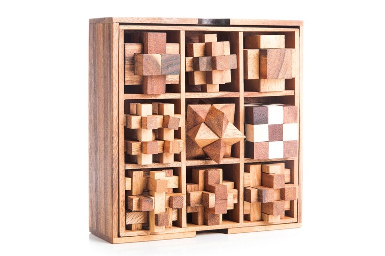 Handcrafted Wooden Brain Teaser Puzzle Set - 9 pcs