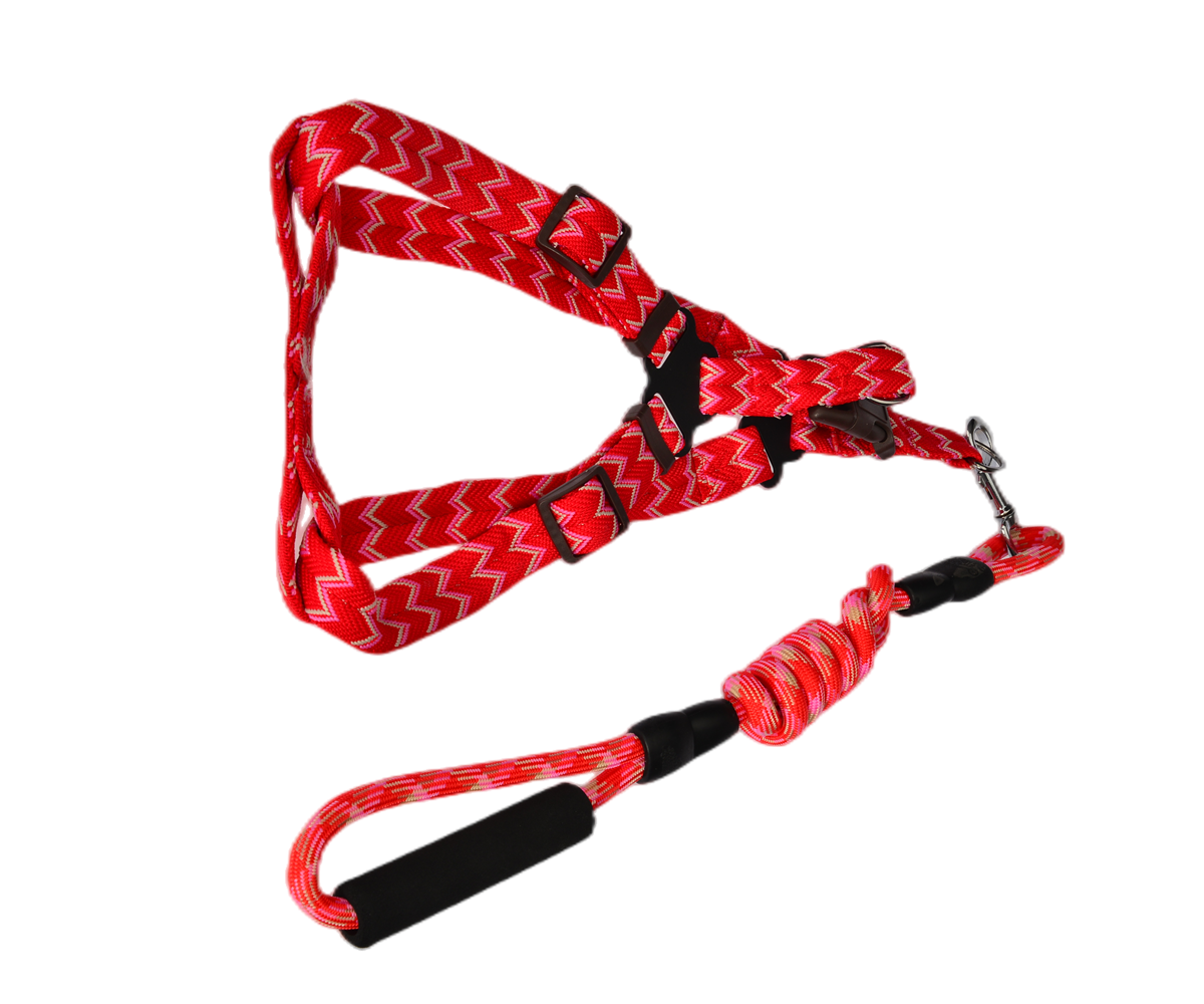 Medium Harness Leash Set for Pets, 2 Pack, 5 Colors