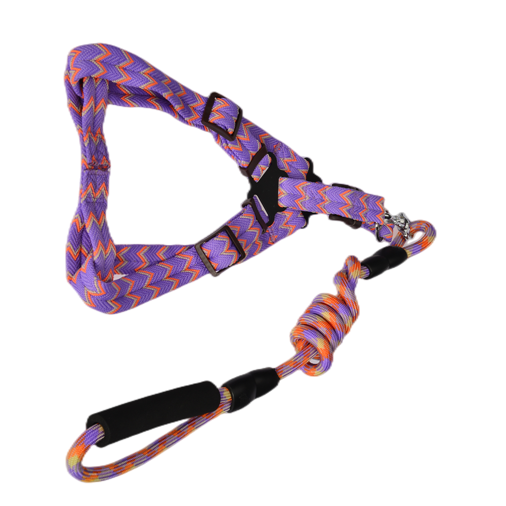 Medium Harness Leash Set for Pets, 2 Pack, 5 Colors