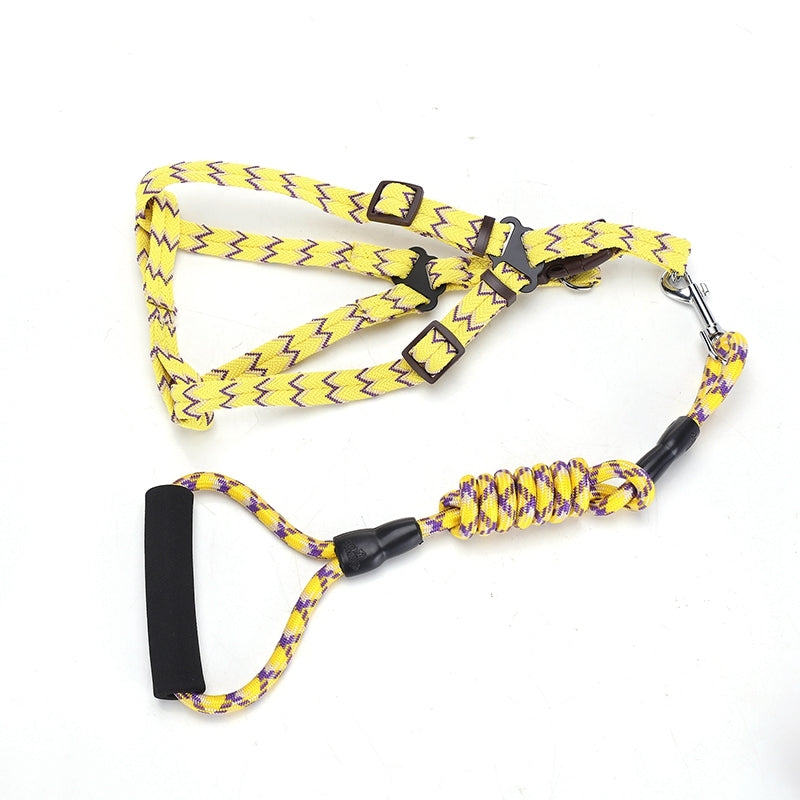 Medium Harness Leash Set for Pets, 2 Pack, 5 Colors