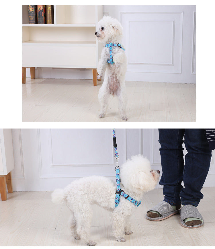 Medium Harness Leash Set for Pets, 2 Pack, 5 Colors