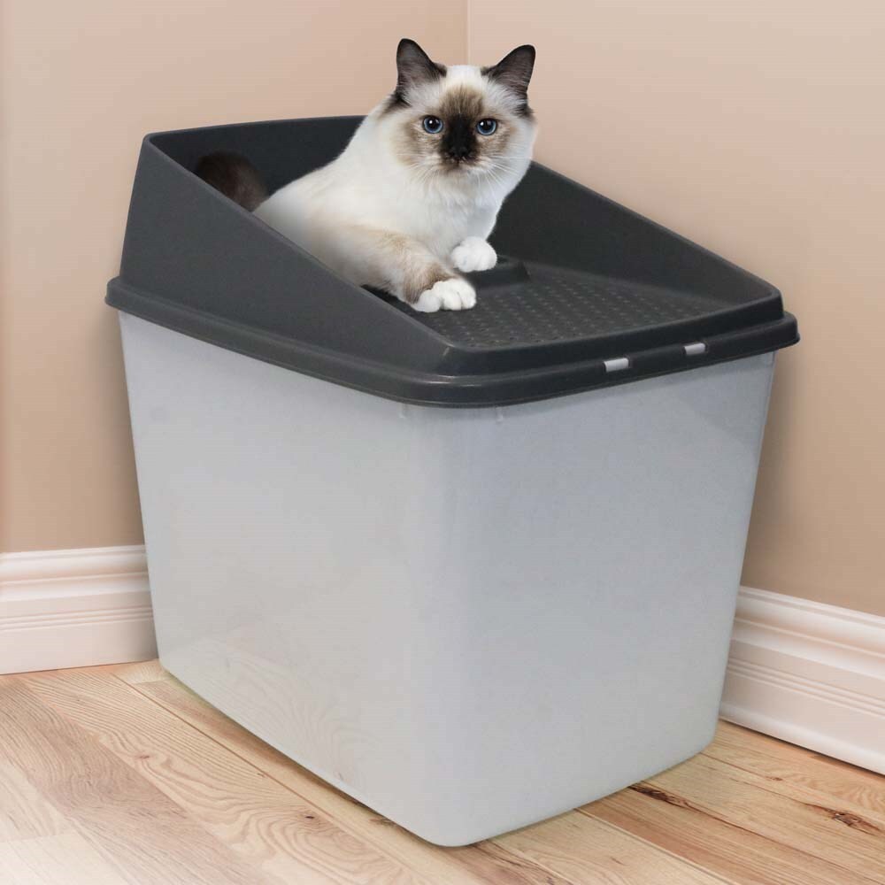 XL Easy Clean Enclosed Top Entry Cat Litter Box - 2 Cats