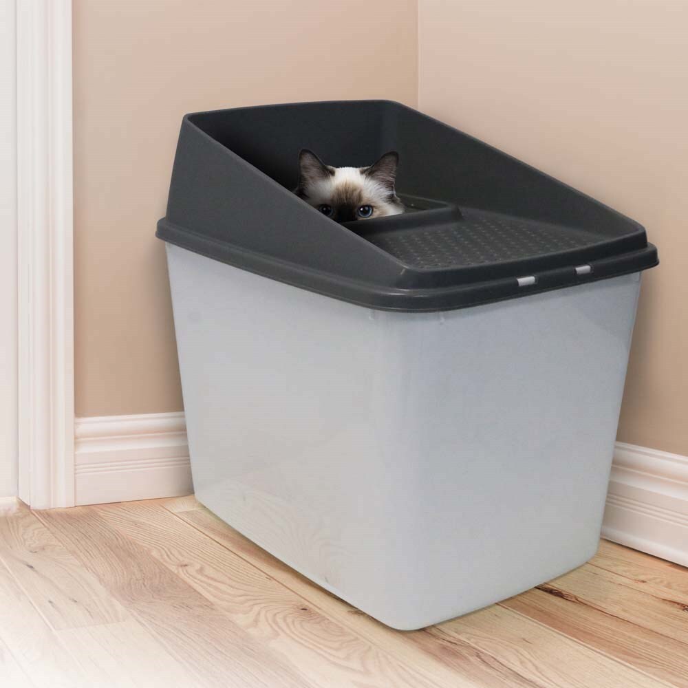 XL Easy Clean Enclosed Top Entry Cat Litter Box - 2 Cats