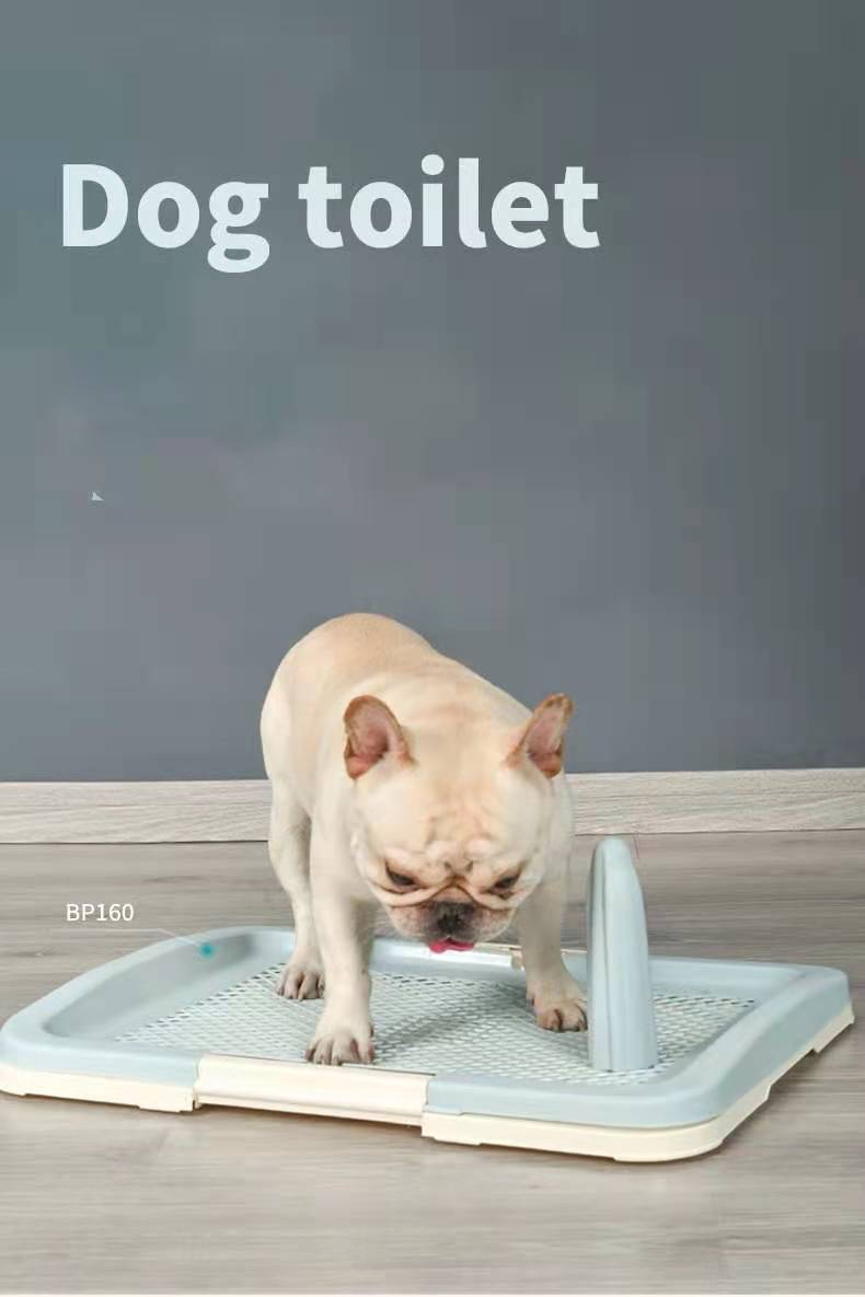 Hygienic Antibacterial Medium Dog Potty Training Tray YES4PETS