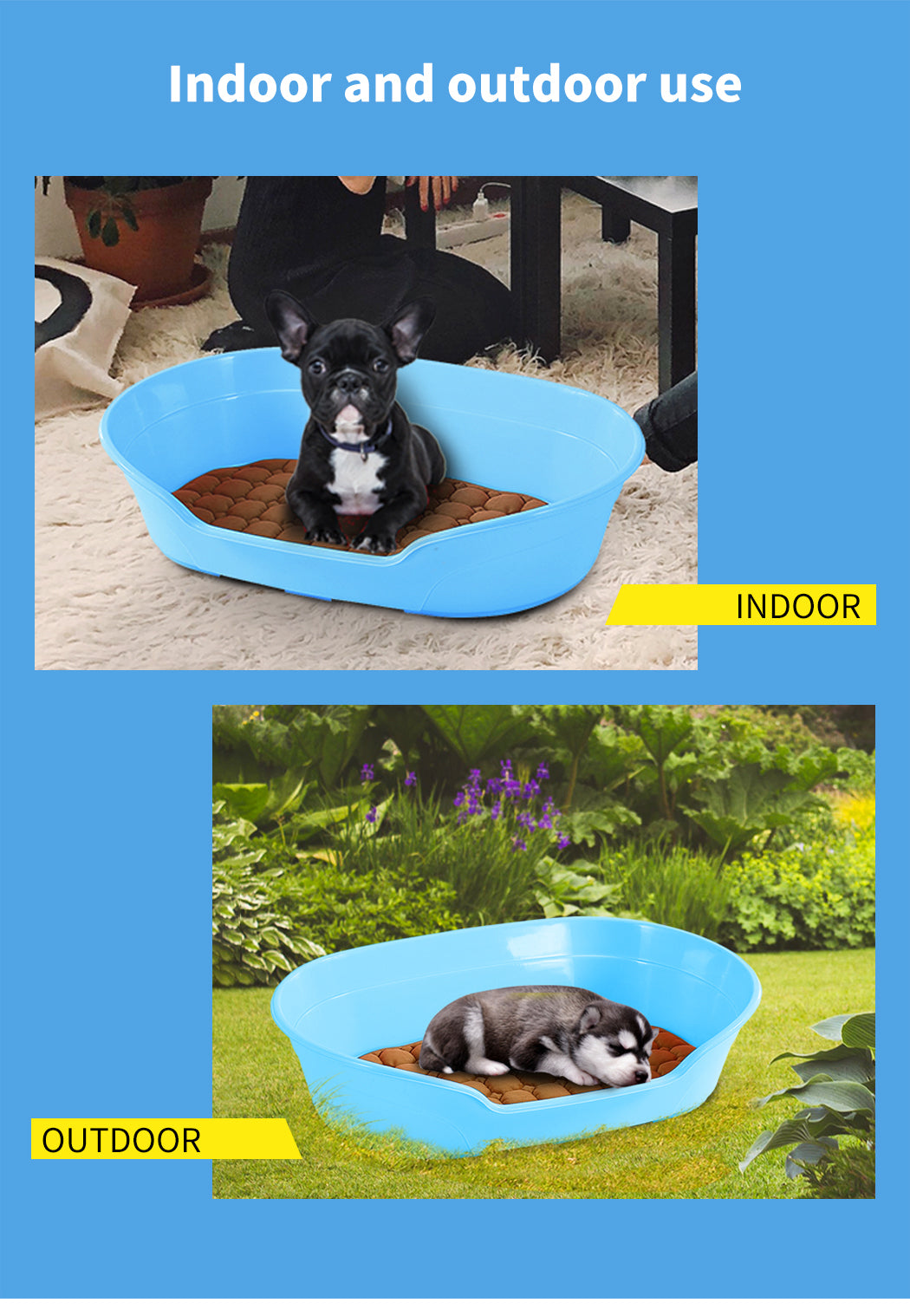 Durable Washable Plastic Dog Bed with Anti-Skid Pad