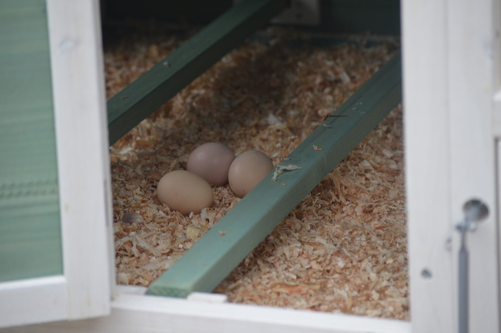 Large Waterproof Chicken Coop Rabbit Hutch w/ Nesting Box (YES4PETS)