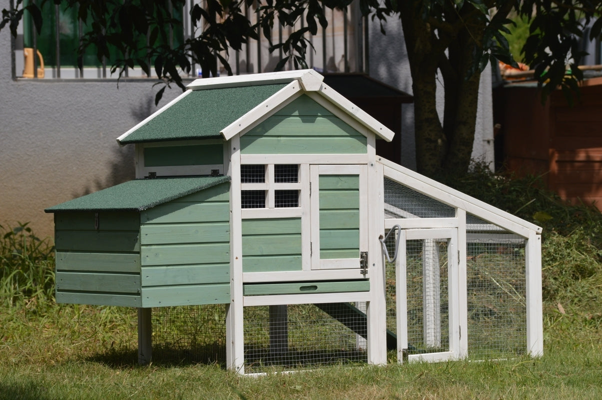 Durably Waterproof Chicken Coop & Rabbit Hutch, Green, 2 Pets