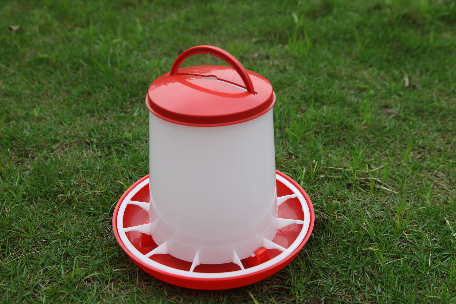 Durable Plastic Poultry Water Drinker & Feeder Set, 3L/3kg YES4PETS