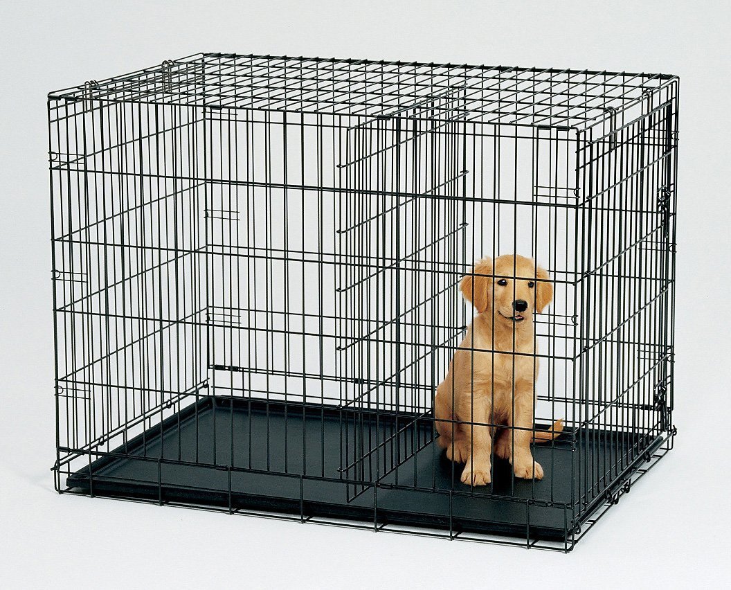 Foldable Metal Dog Cage with Divider & Tray - YES4PETS
