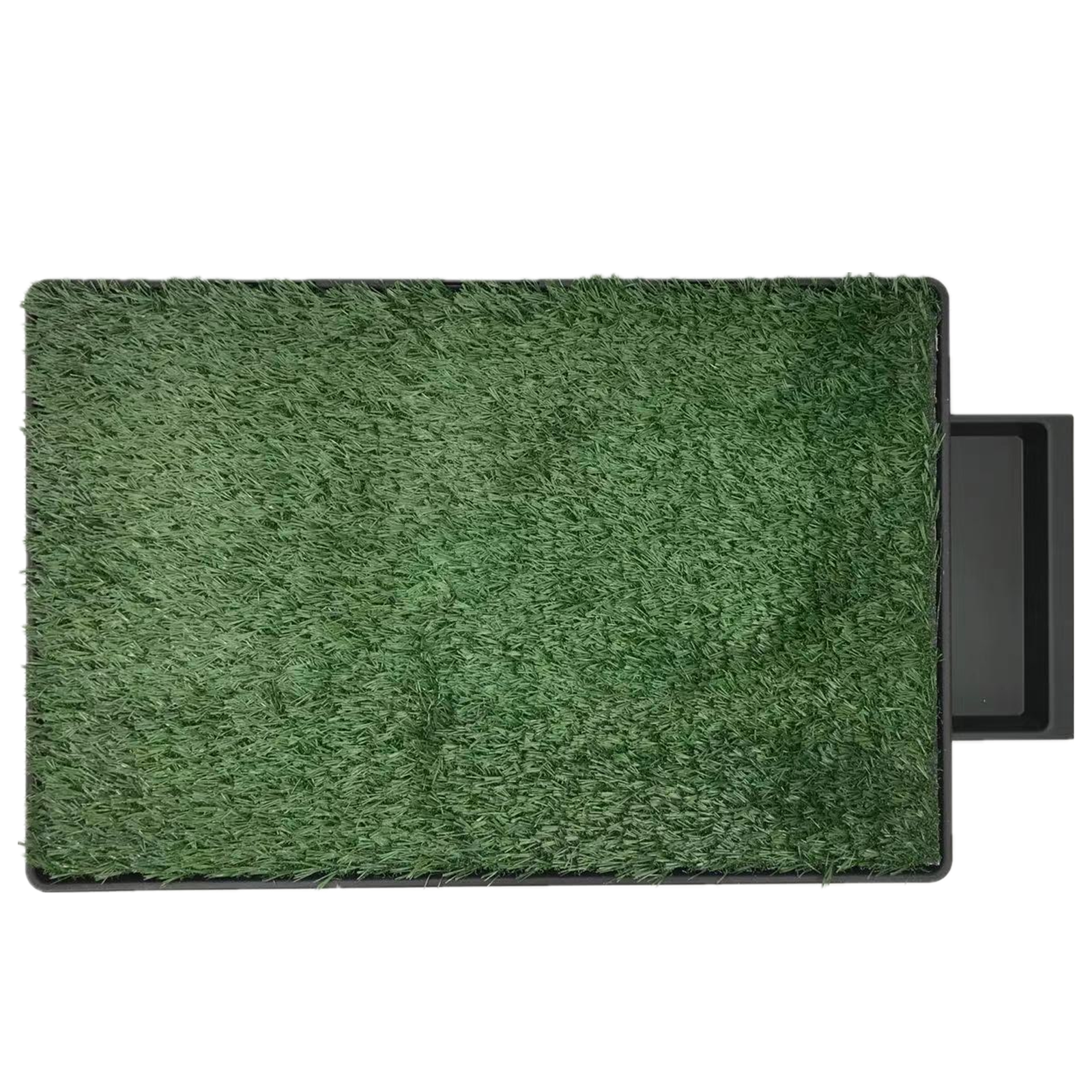 XL Non-Toxic Indoor Dog Toilet Grass Mat with Tray