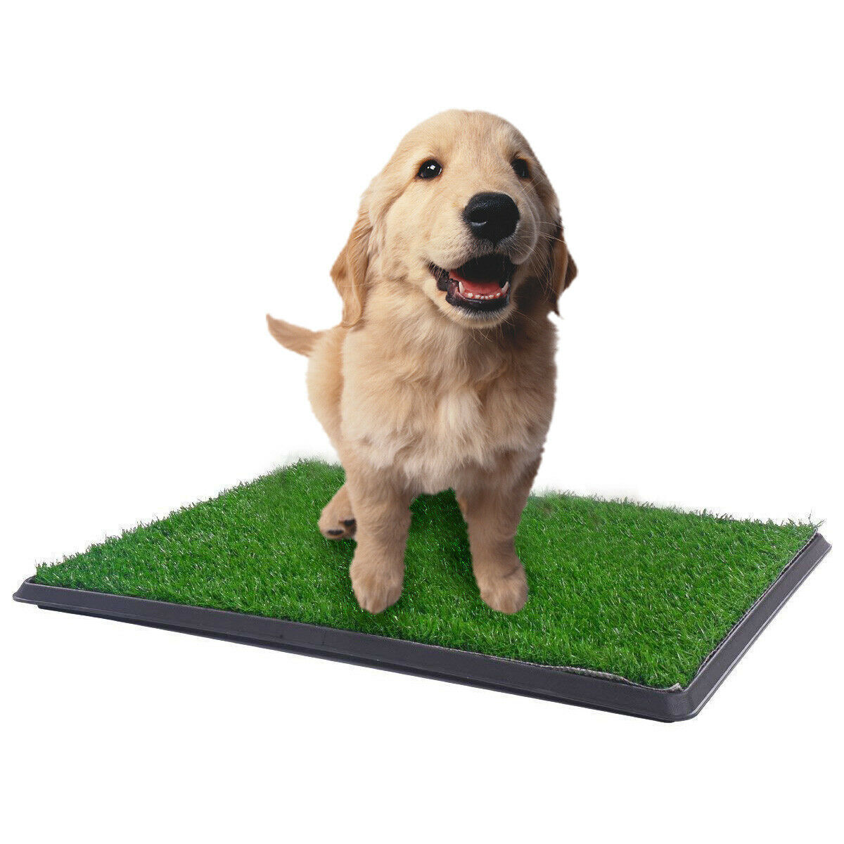 Easy Clean Pet Potty with Removable Tray - YES4PETS