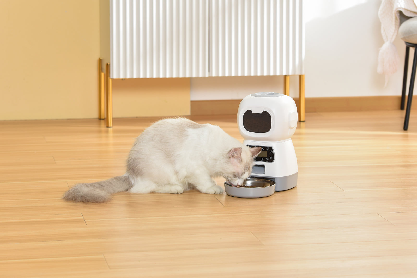 3.5L Automatic Programmable Pet Feeder with Digital Display