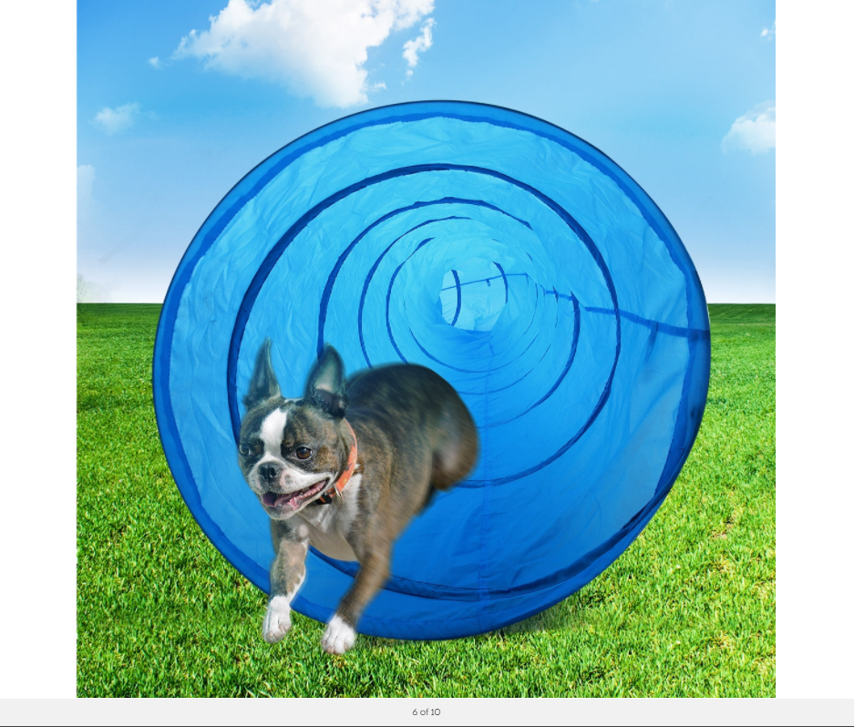 YES4PETS Portable Pet Dog Agility Training Exercise Cat Tunnel Chute with Carry Bag 5M