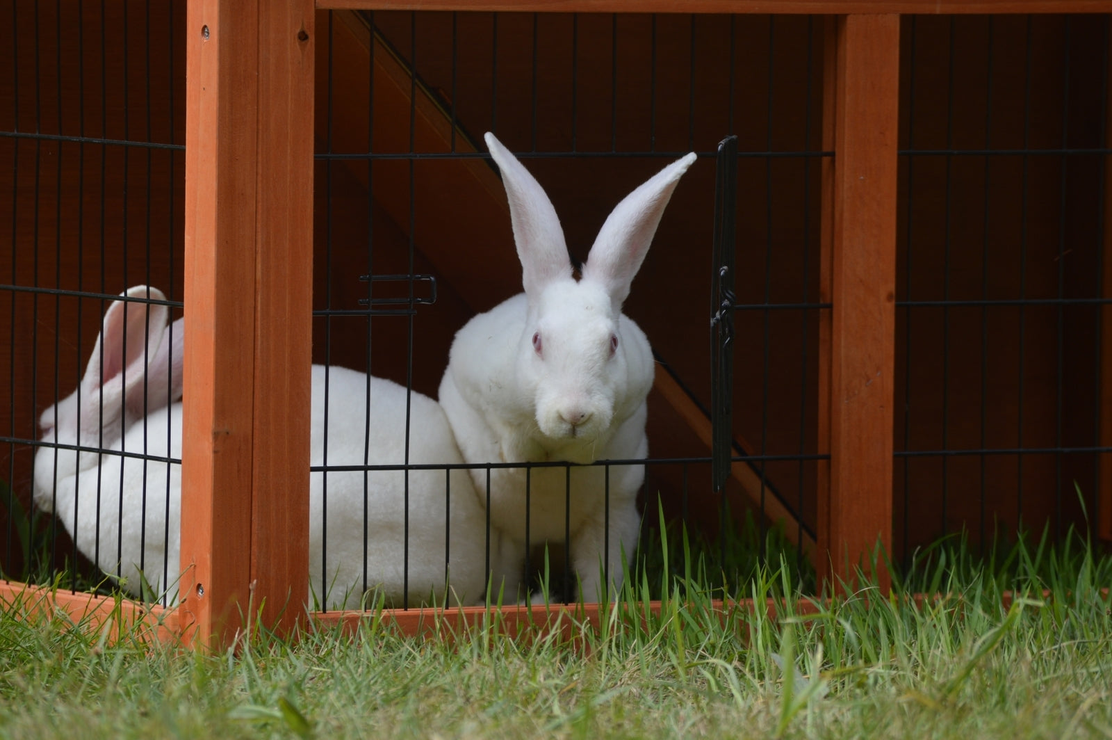 Double Storey Rabbit Hutch, Guinea Pig Ferret Cage w/ Waterproofing