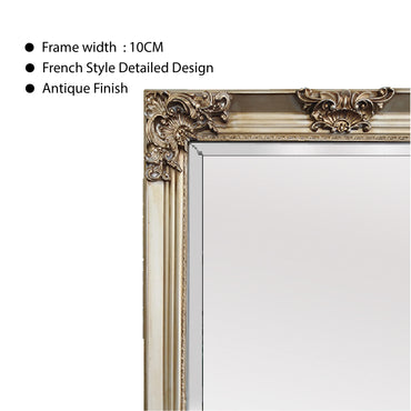 Ornate French Provincial Wall Mirror, 90x170cm, Champagne