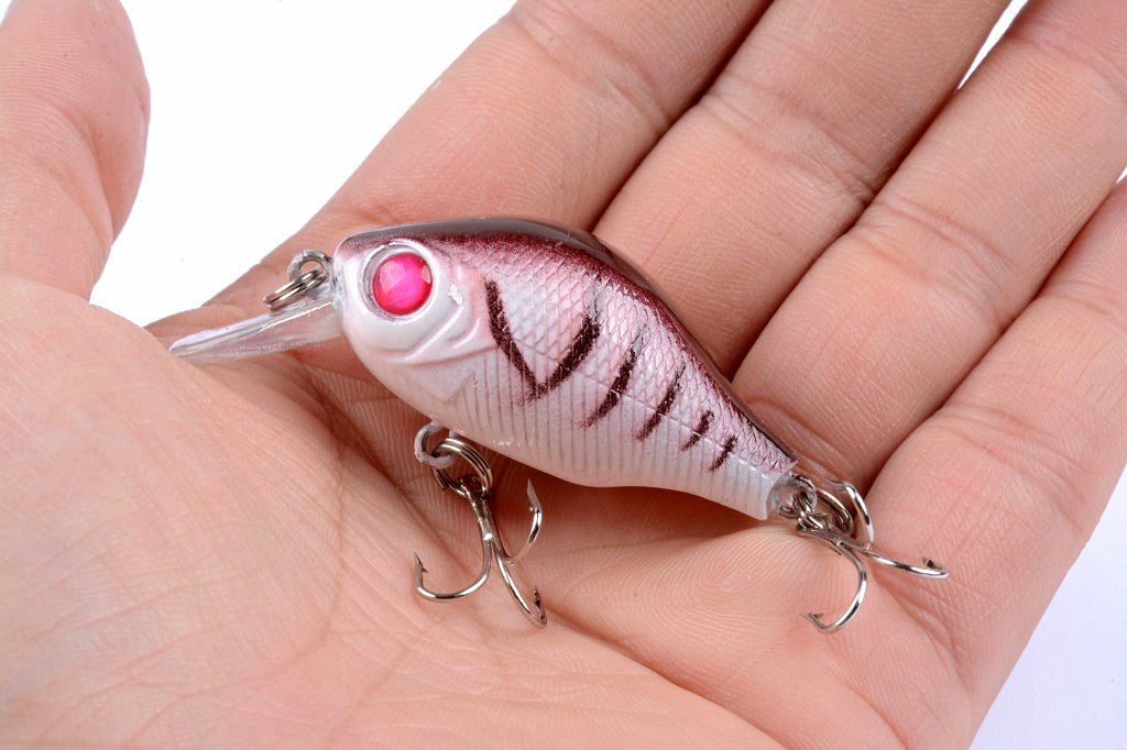 5x 5.5cm Topwater Popper Crank Bait Fishing Lures