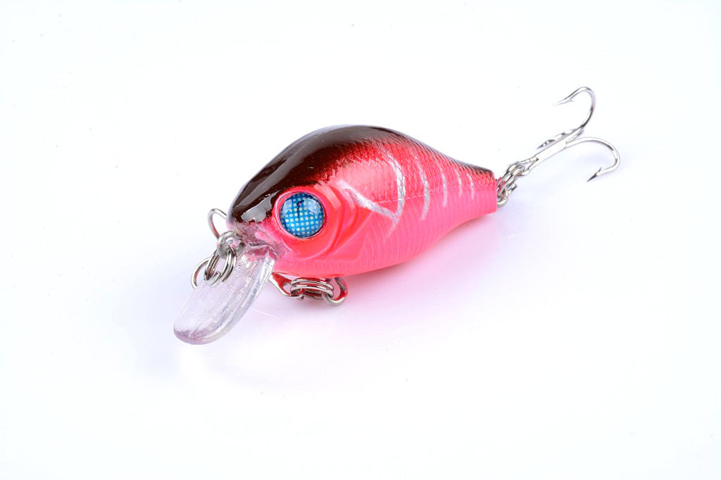 5x 5.5cm Topwater Popper Crank Bait Fishing Lures