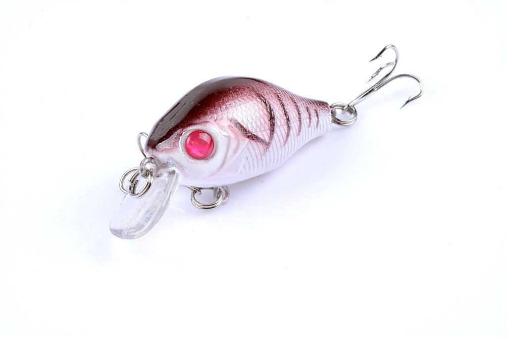 5x 5.5cm Topwater Popper Crank Bait Fishing Lures