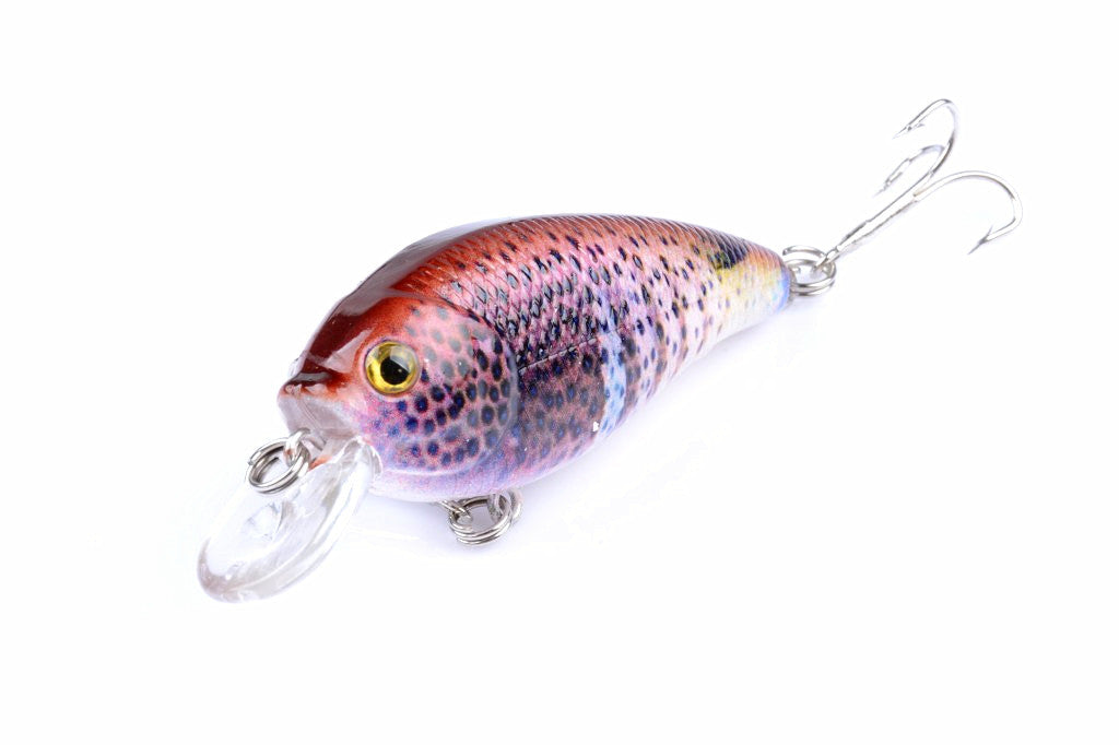 5x 7cm Colorful Popper Crank Fishing Lures for Saltwater