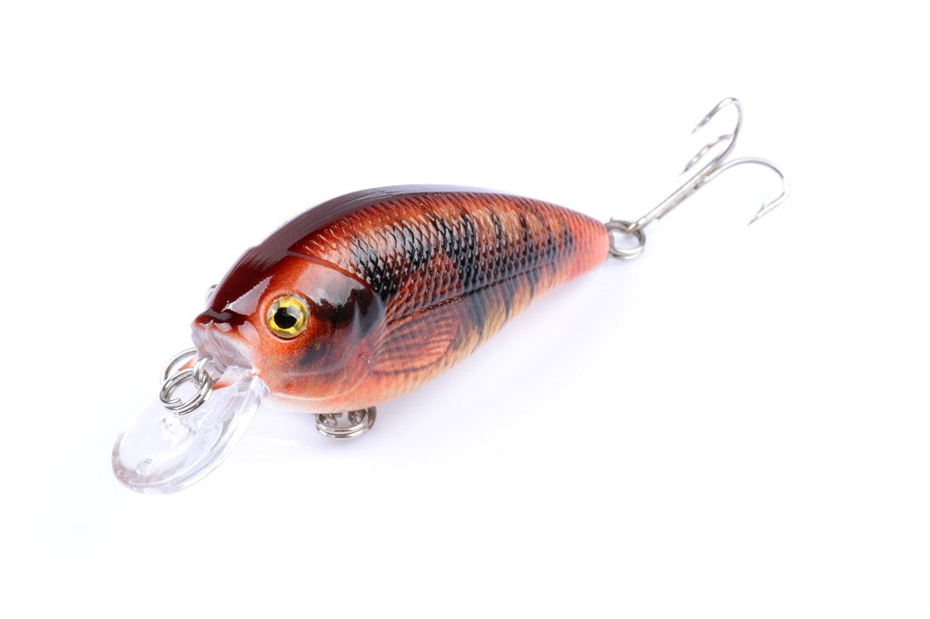 5x 7cm Colorful Popper Crank Fishing Lures for Saltwater