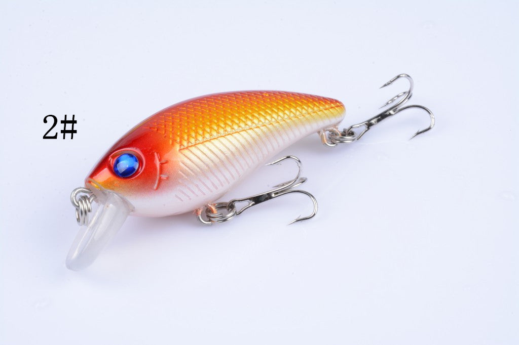 4X 6.5cm Topwater Fishing Lures, Vibrant Colors, Saltwater