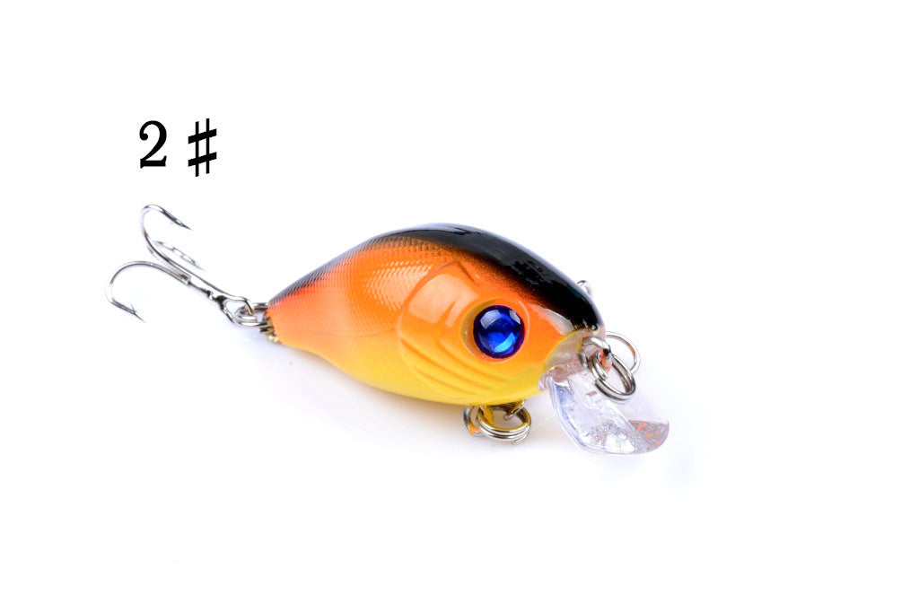 Colorful 5.5cm Popper Crank Bait Lures Set Saltwater Freshwater