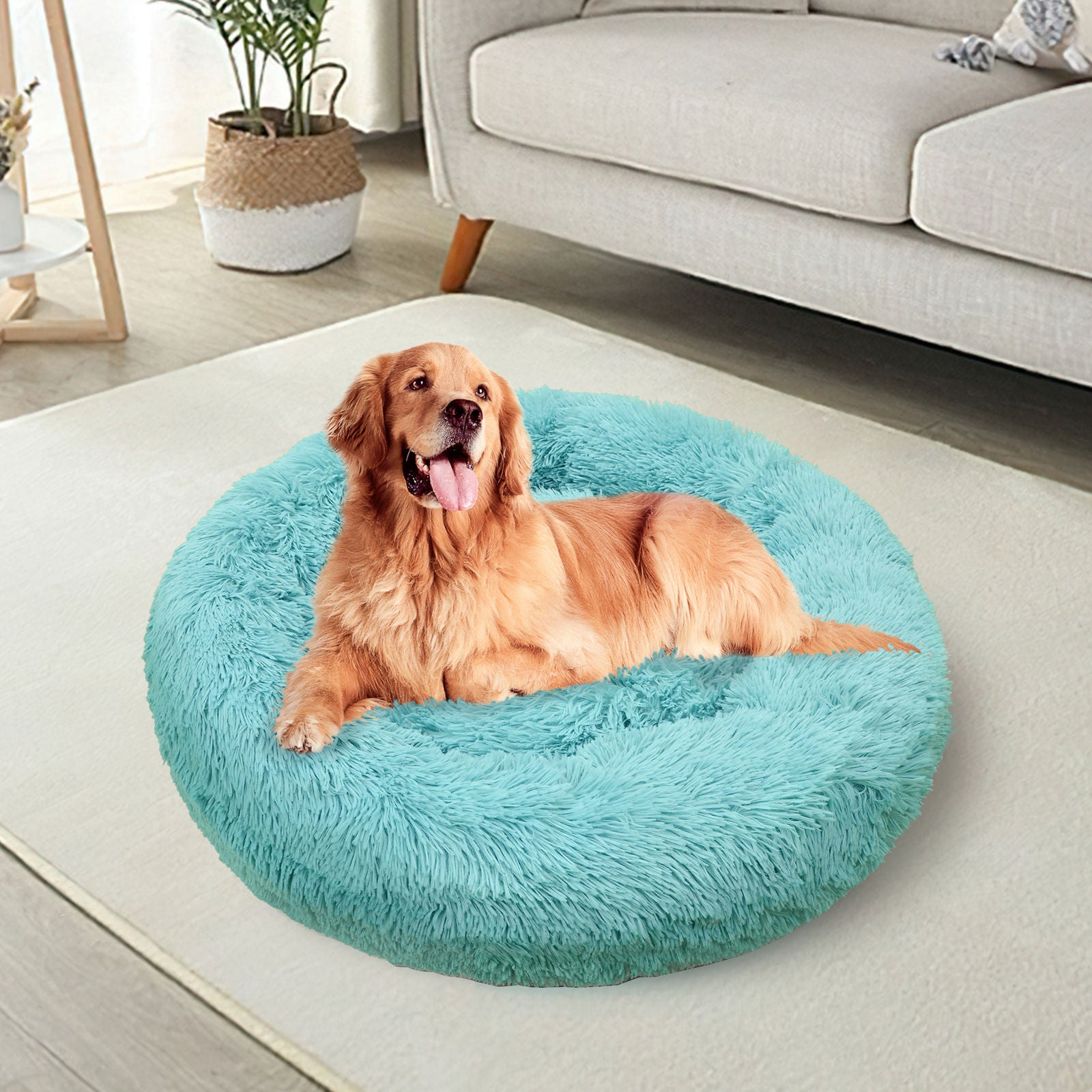 Luxurious Teal Dog Bed XXL, Plush, Non-Slip Base - Pawfriends