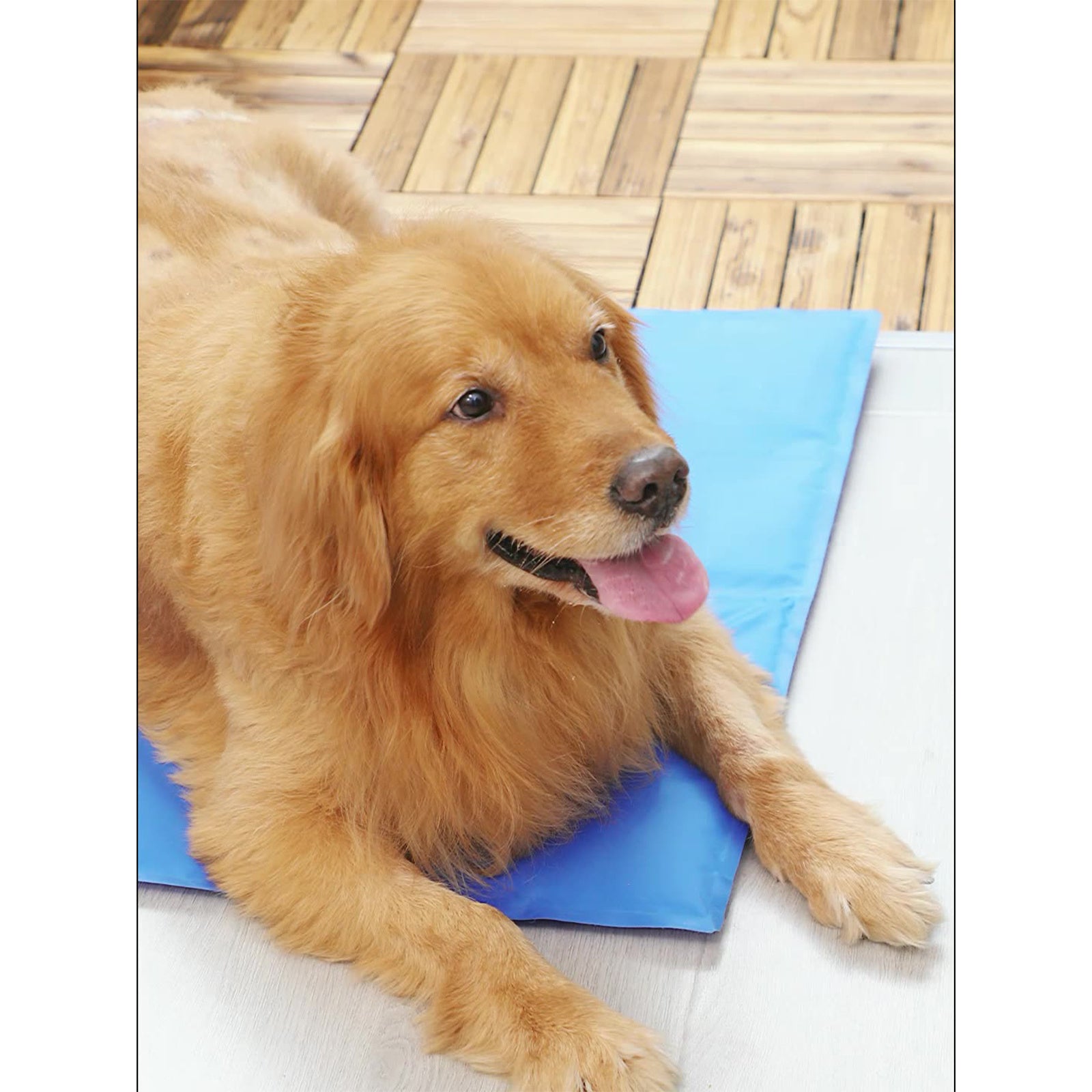 Waterproof Blue Pet Cooling Mat Summer Comfort - Pawfriends