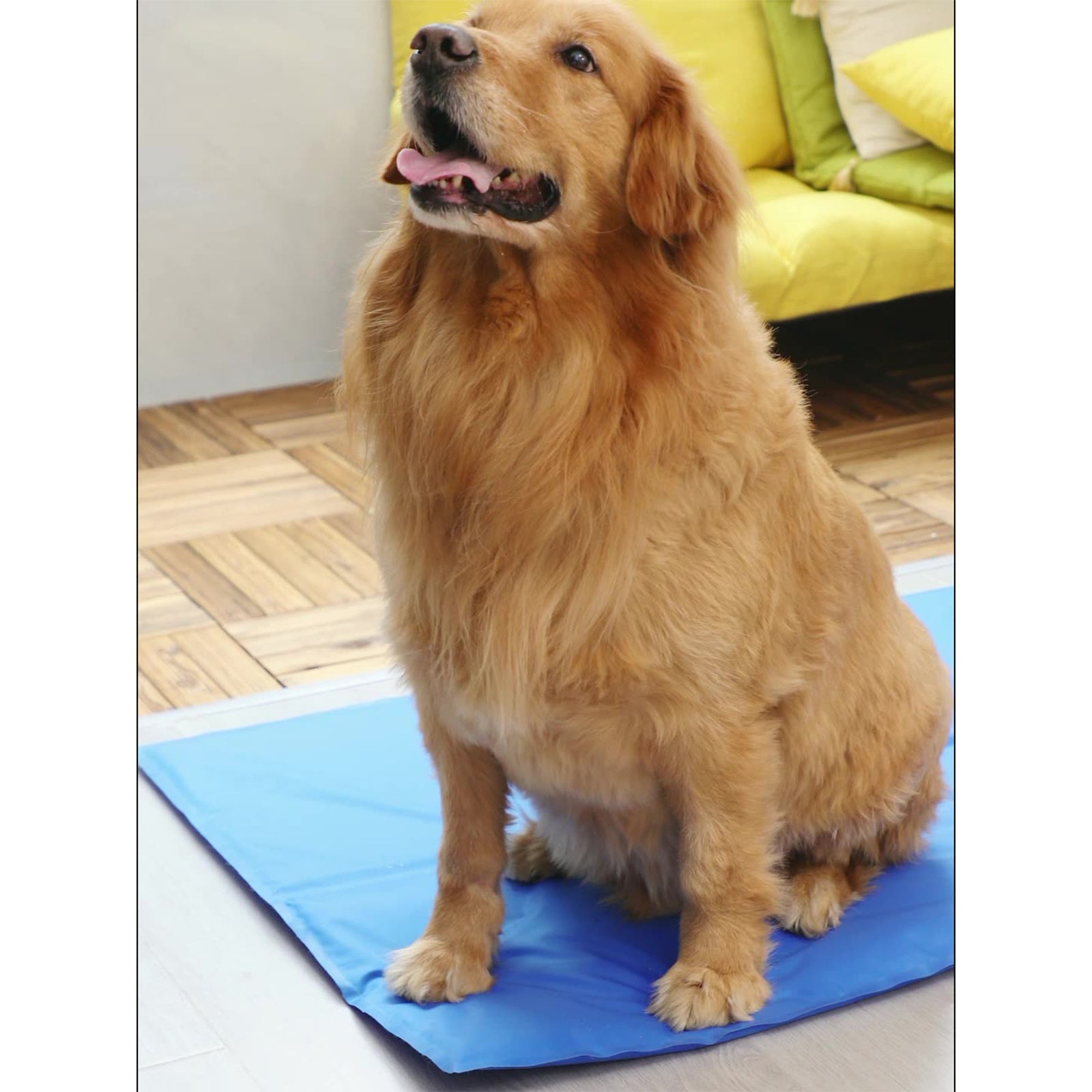 XXL Waterproof Pet Cooling Cushion, Blue, Polyester, Pawfriends