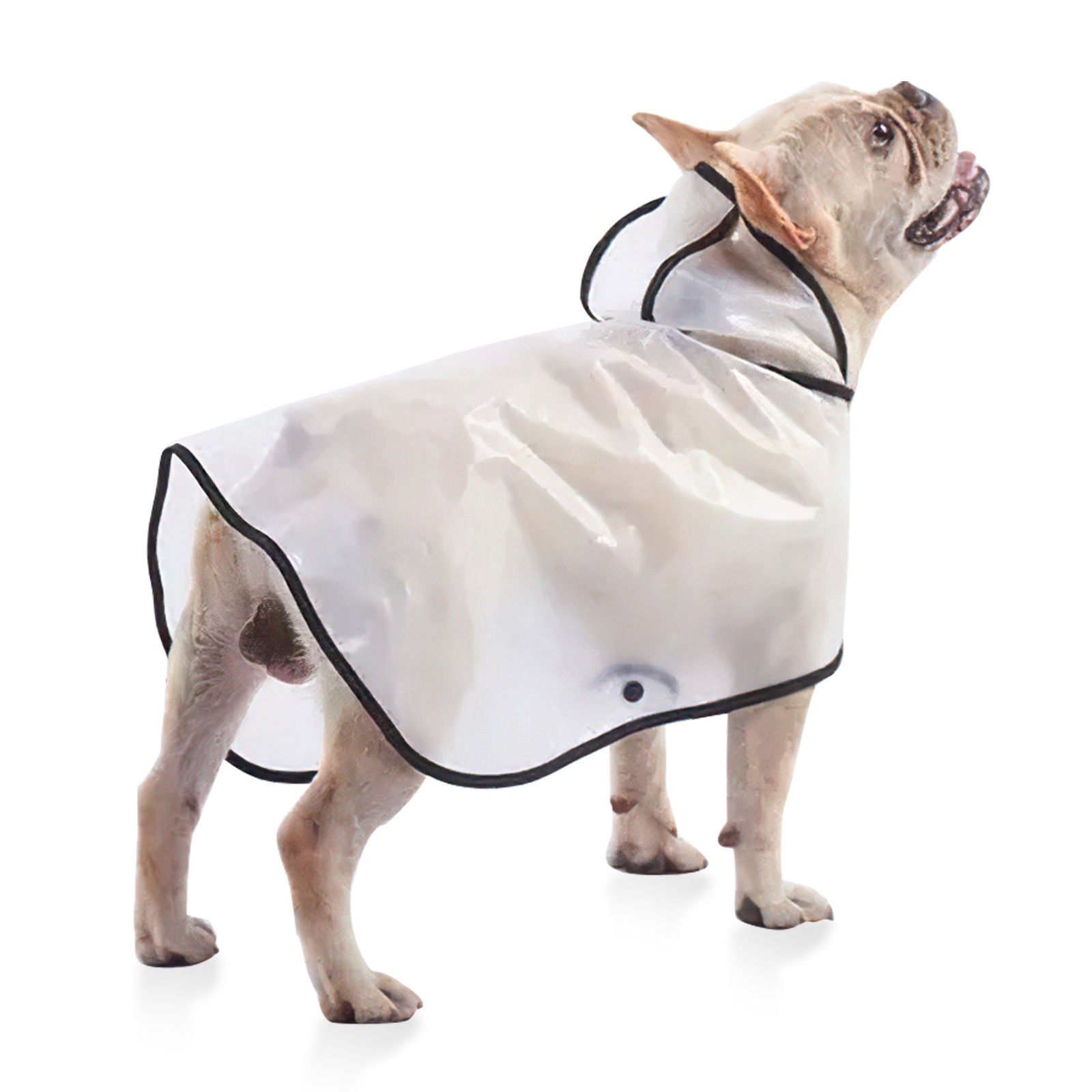 Waterproof Transparent TPU Pet Raincoat for Large Dogs