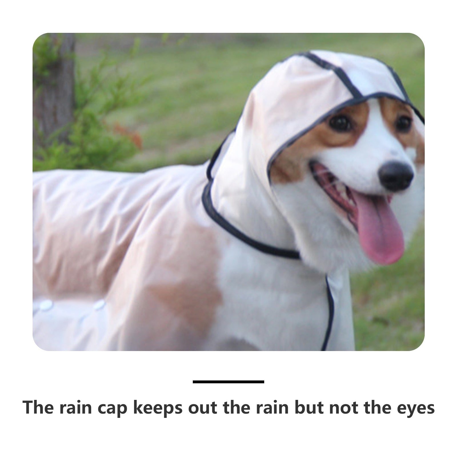 Waterproof Transparent TPU Pet Raincoat for Large Dogs