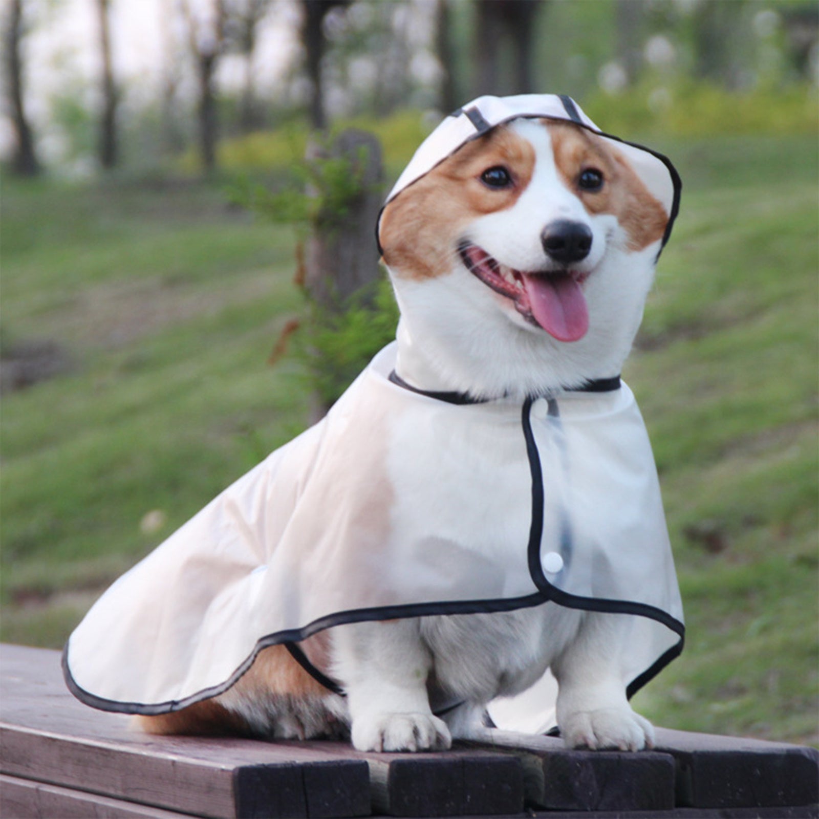 Waterproof Transparent TPU Pet Raincoat for Large Dogs