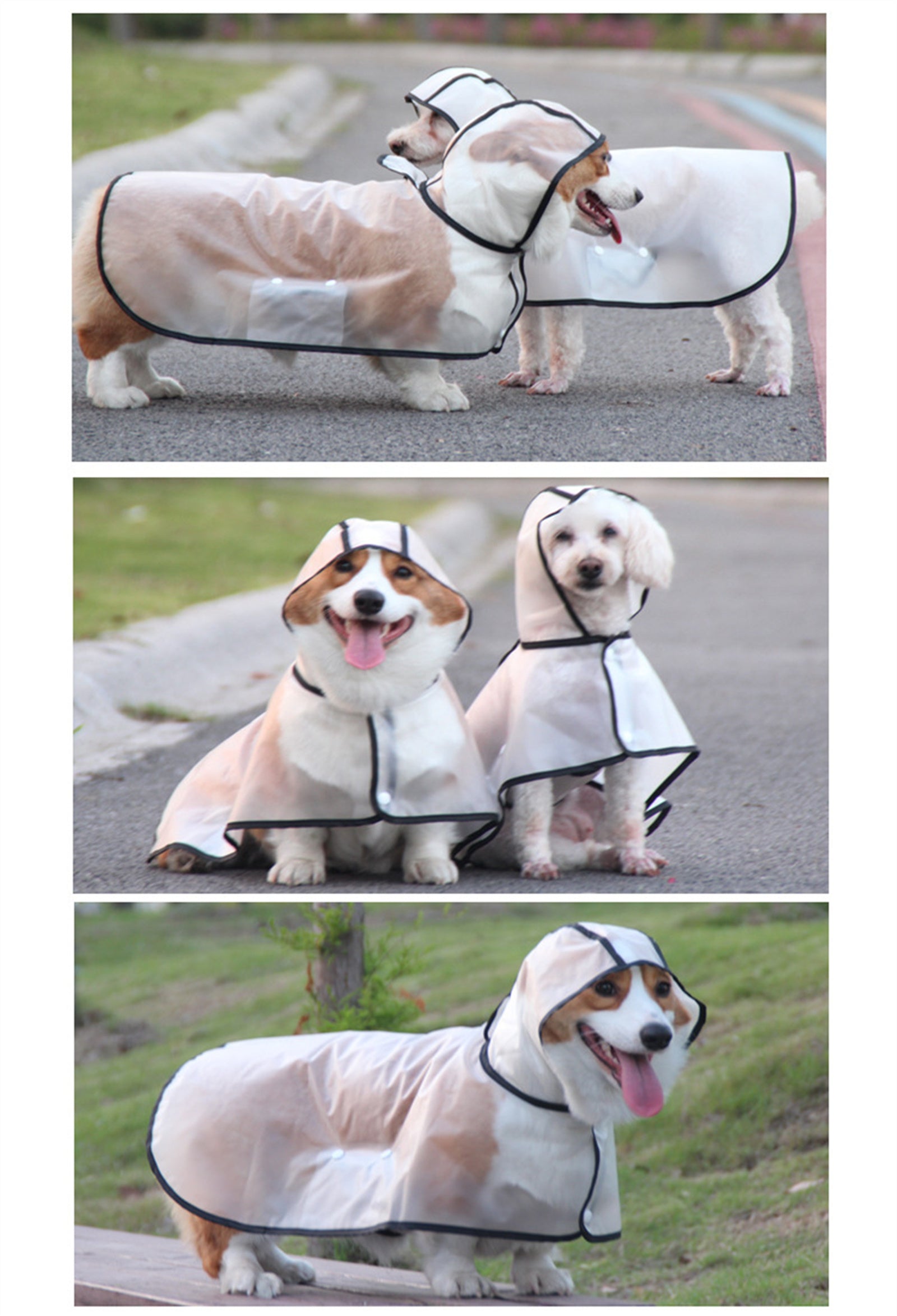 Waterproof Transparent TPU Pet Raincoat for Large Dogs