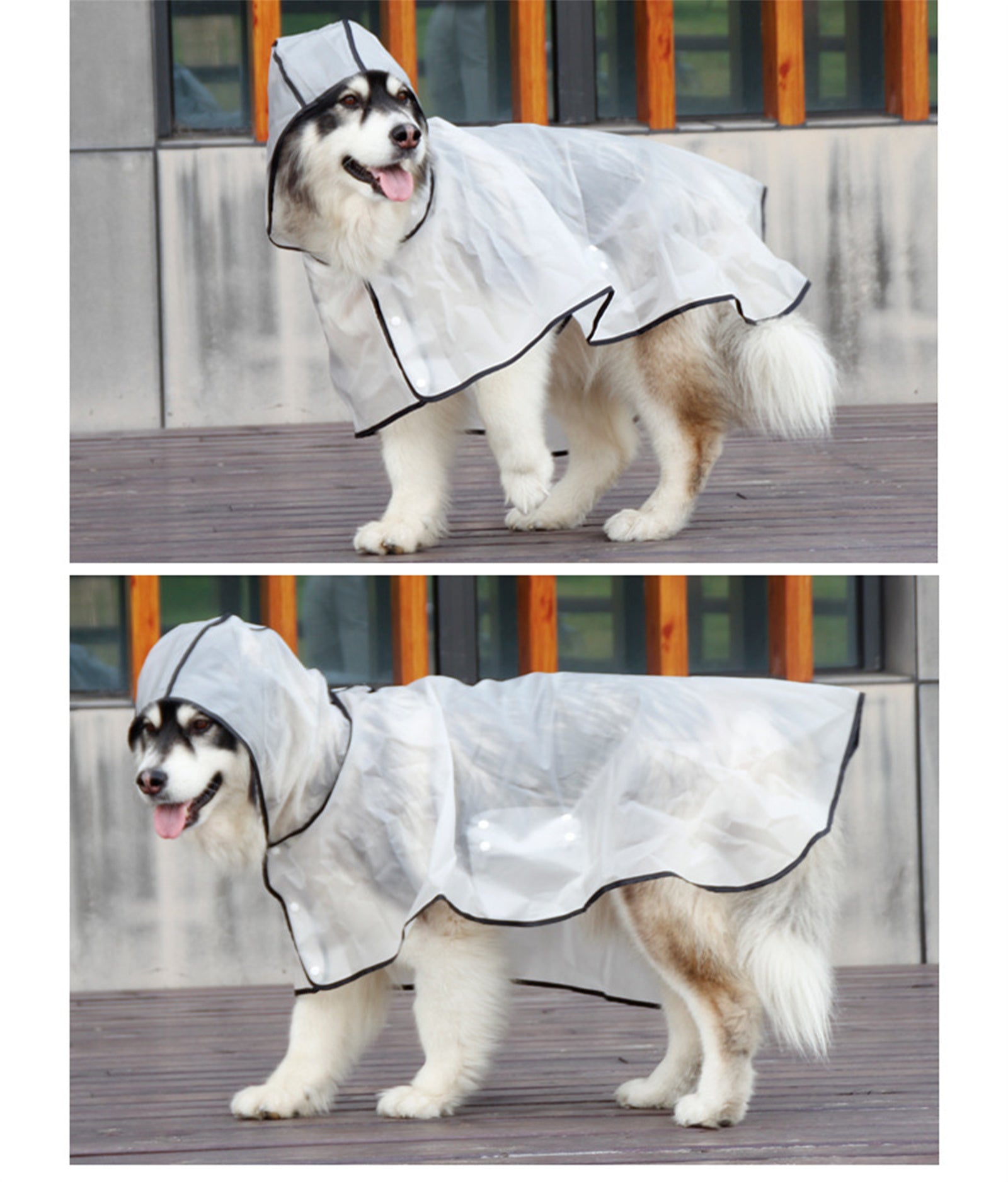 Waterproof Transparent TPU Pet Raincoat for Large Dogs