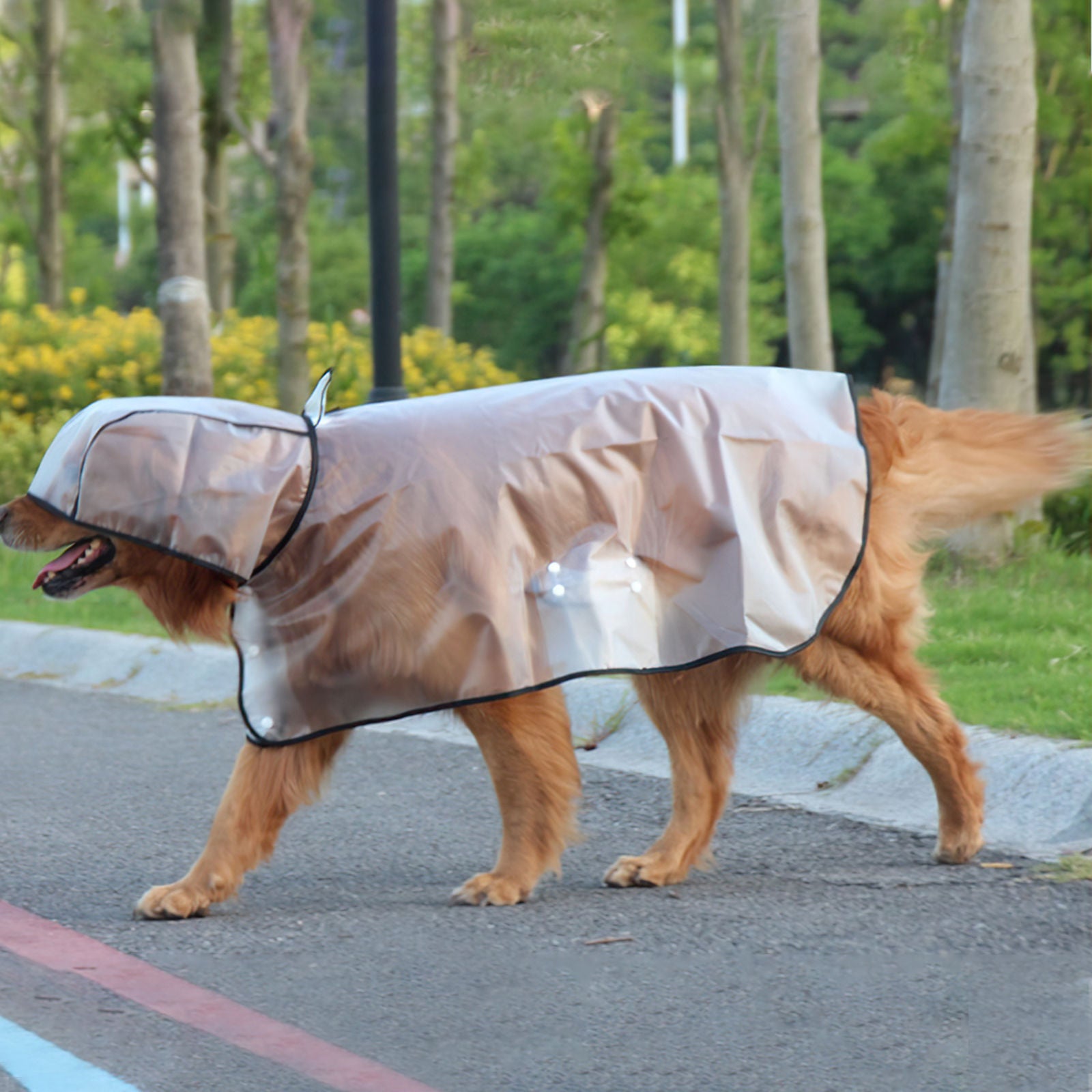 Waterproof Transparent TPU Pet Raincoat for Large Dogs