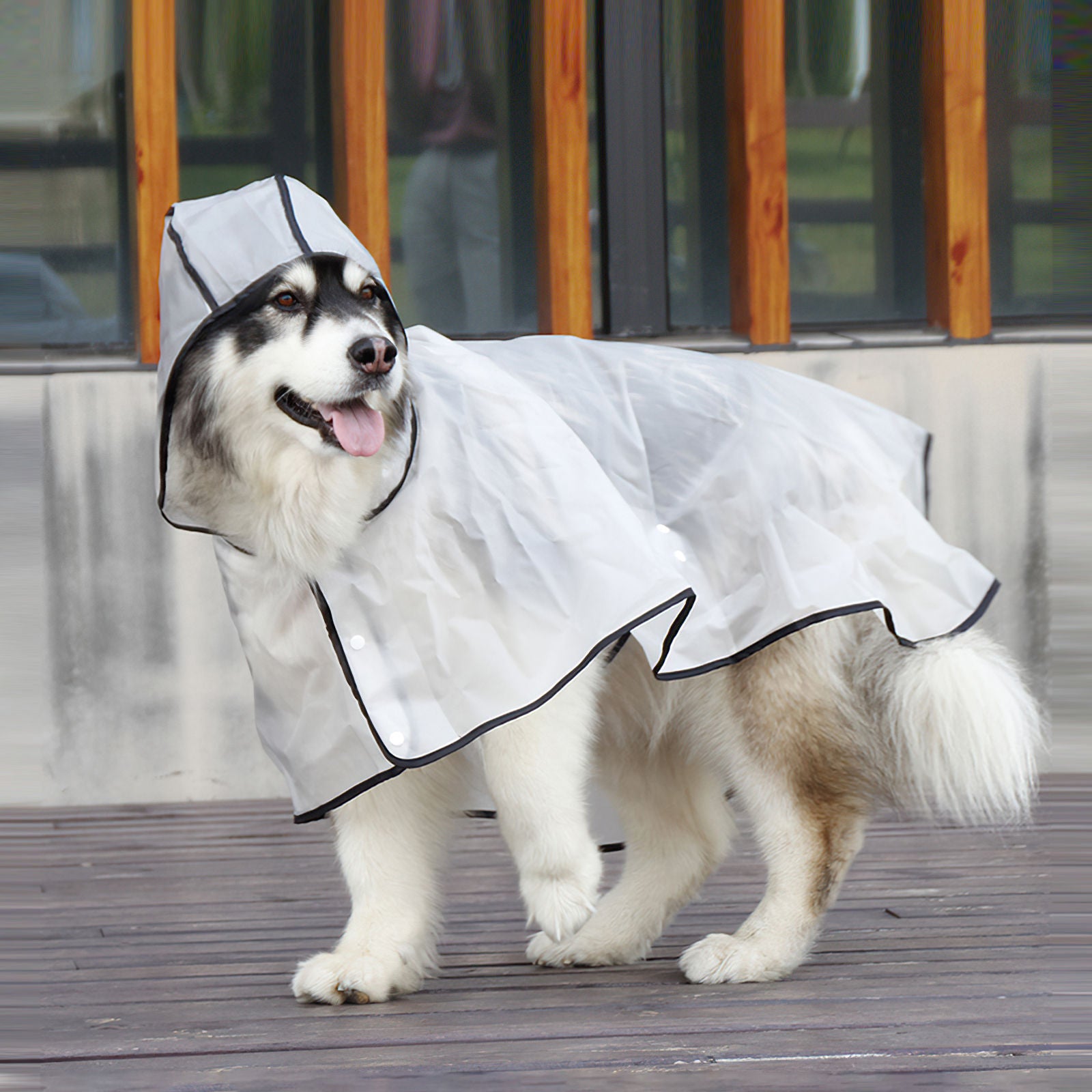 Waterproof Transparent TPU Dog Raincoat Large - Pawfriends