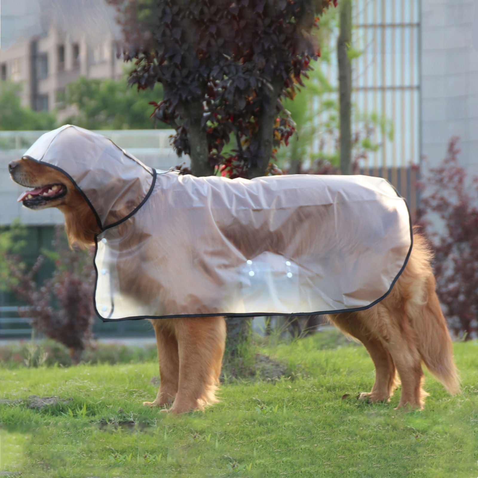 Transparent Waterproof Dog Raincoat TPU Material - Pawfriends