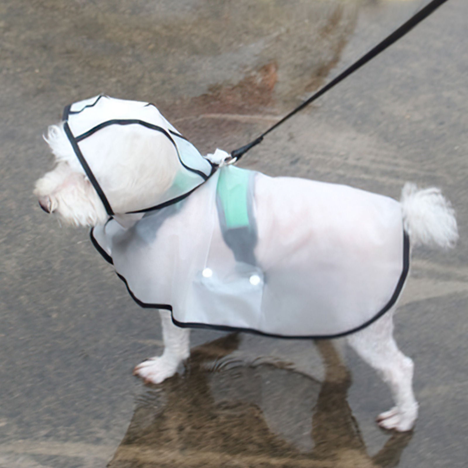 Transparent TPU Waterproof Dog Raincoat Large - Pawfriends