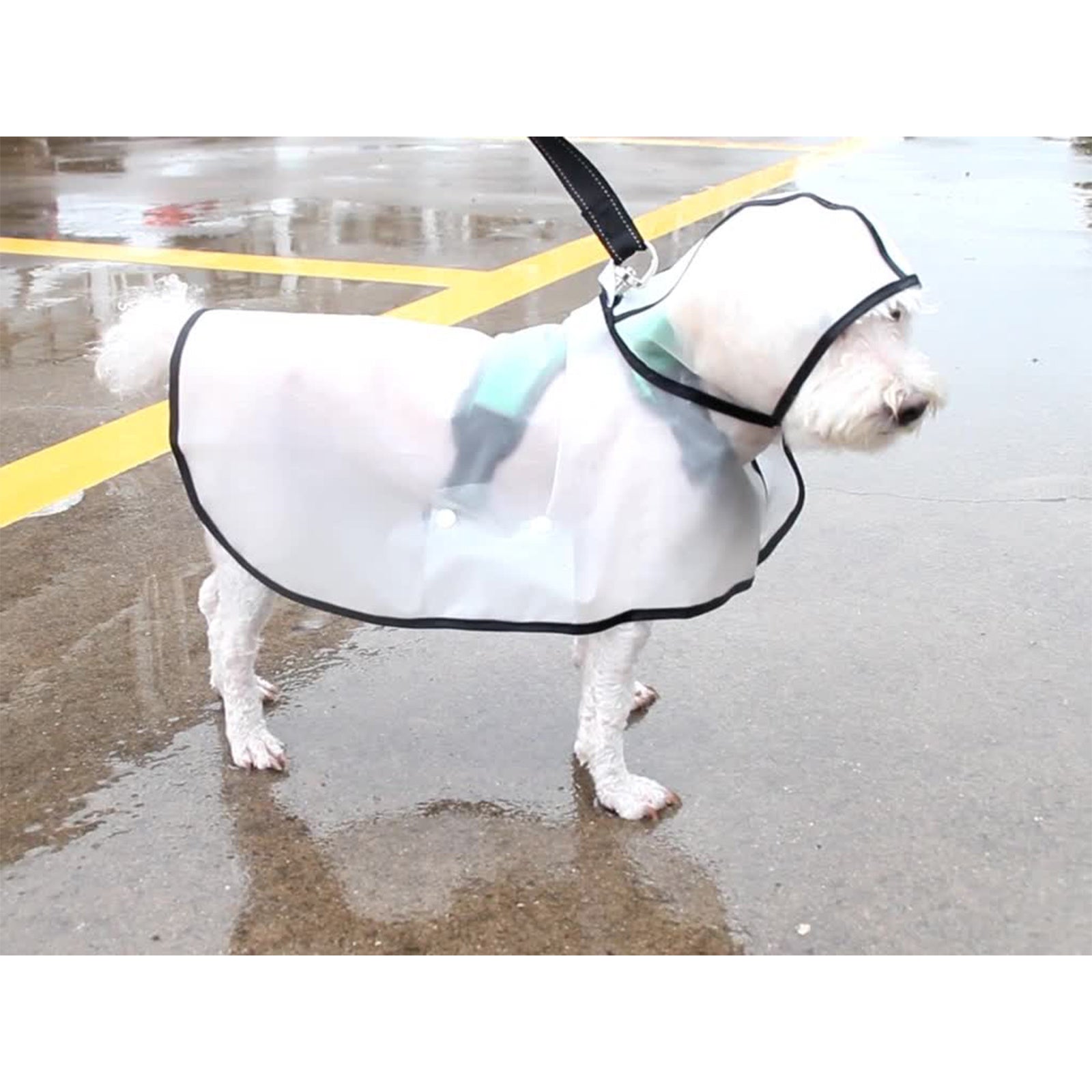 Durable TPU Transparent Pet Raincoat XXL for Large Dogs - Pawfriends