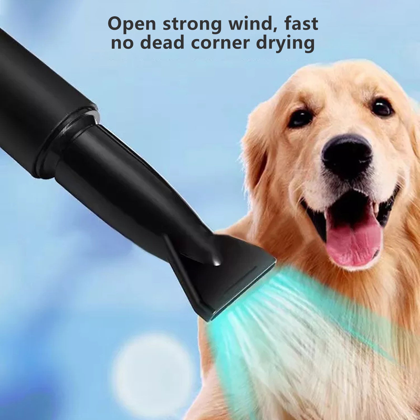 2000W White Pet Hair Dryer 220V, Adjustable Heat - Pawfriends