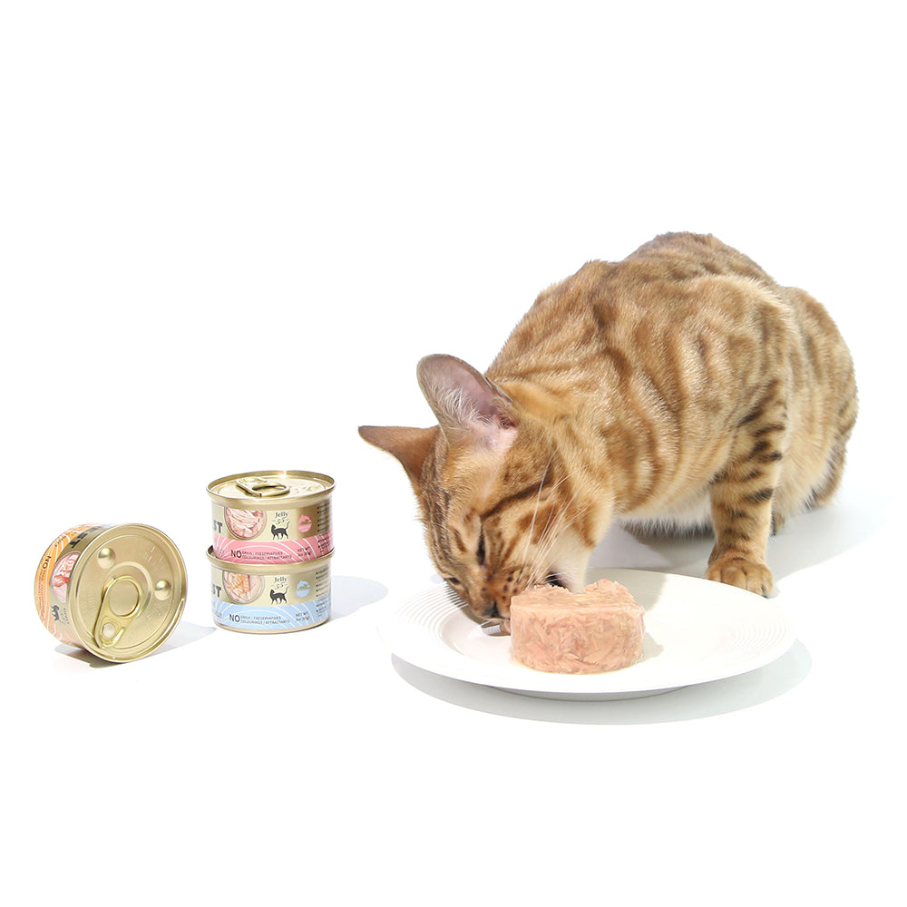 High-Protein Tuna & Chicken Cat Food in Jelly 85G X 24