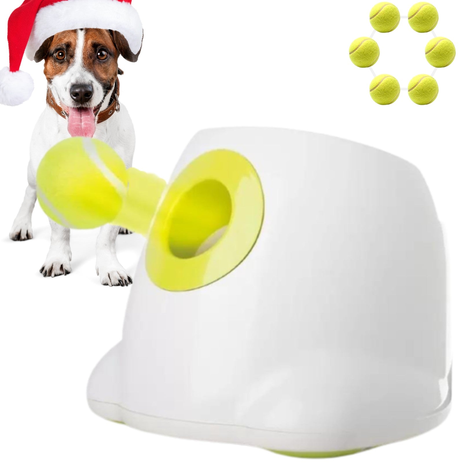 Adjustable Automatic Dog Ball Launcher with 6 Balls