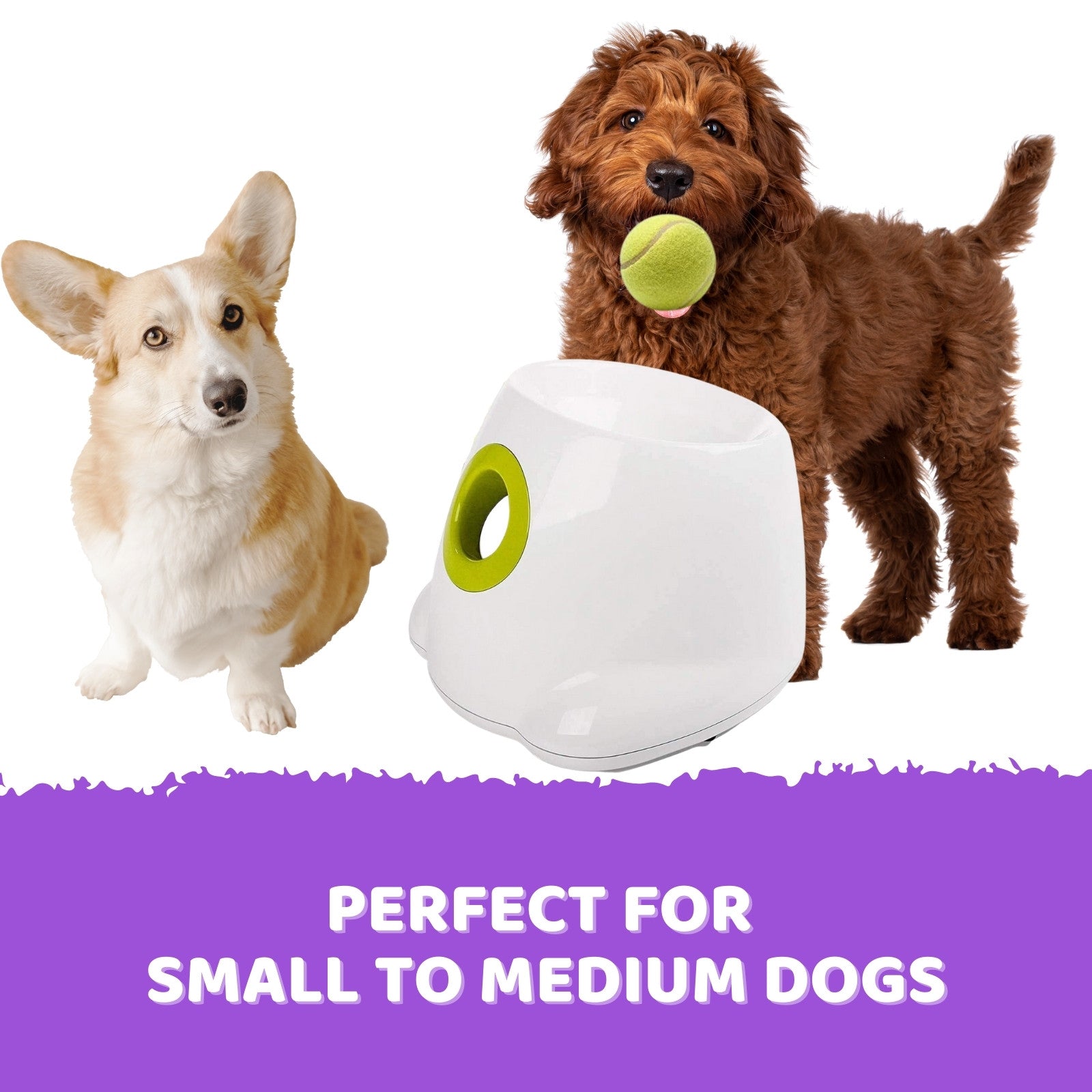 Adjustable Automatic Dog Ball Launcher with 6 Balls